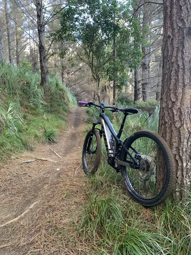 Woodhill forest mountain discount biking