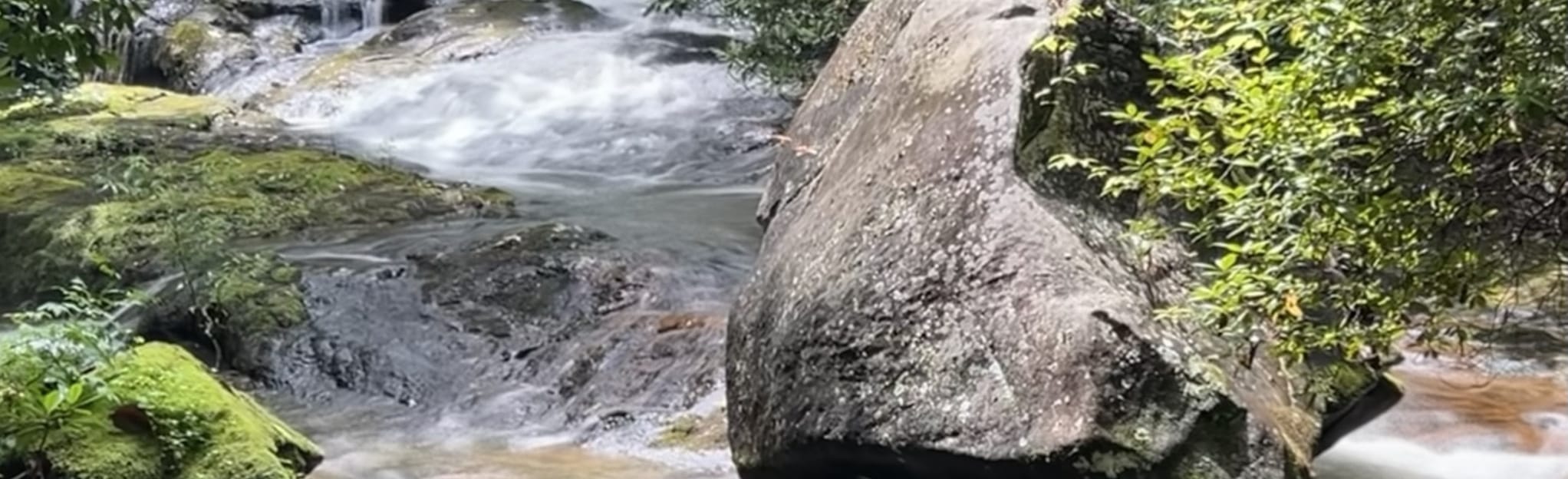 Green River Preserve , North Carolina 14 Reviews, Map AllTrails