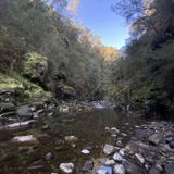 Mount Beauty Gorge Walk, Victoria, Australia - 226 Reviews, Map | AllTrails