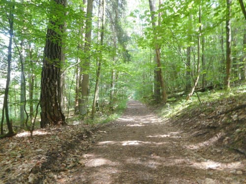 Romantische Straße Etappe 4: Tauberbischhofsheim - Beckstein