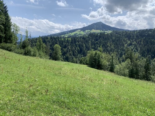 Langenegg entlang der Bregenzer Ach