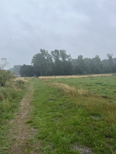Rund um Tarnewitz