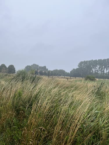 Rund um Tarnewitz