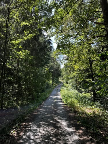 Naturpark-AugenBlick-Runde auf den Wächtersberg in Wildberg