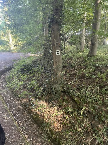 SAV OG Lindach Rundwanderweg C
