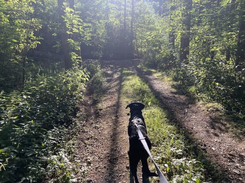 SAV OG Lindach Rundwanderweg C