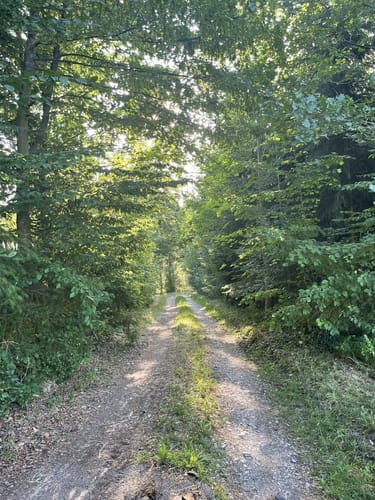 SAV OG Lindach Rundwanderweg C