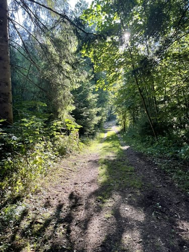SAV OG Lindach Rundwanderweg C