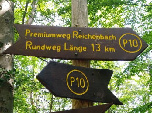 Reichenbach P10 (Premiumwanderweg)