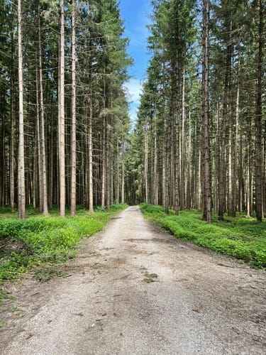 Diedorfer Hochweg und Anhauser Tal