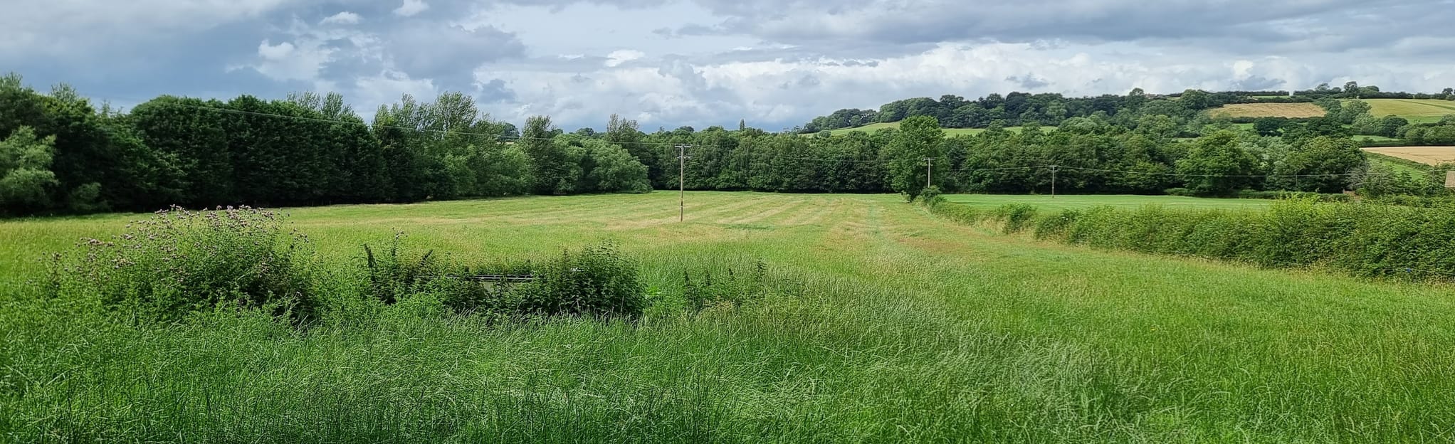 Cherington and Weston Park Walk, Warwickshire, England 37 Reviews