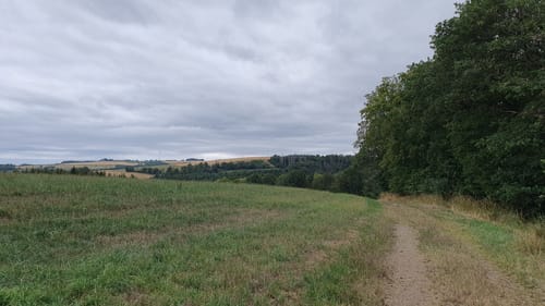 Runde an der Enz