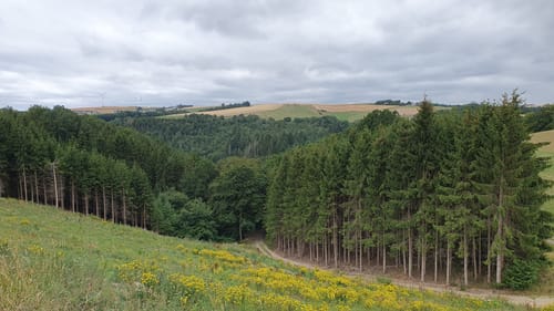 Runde an der Enz