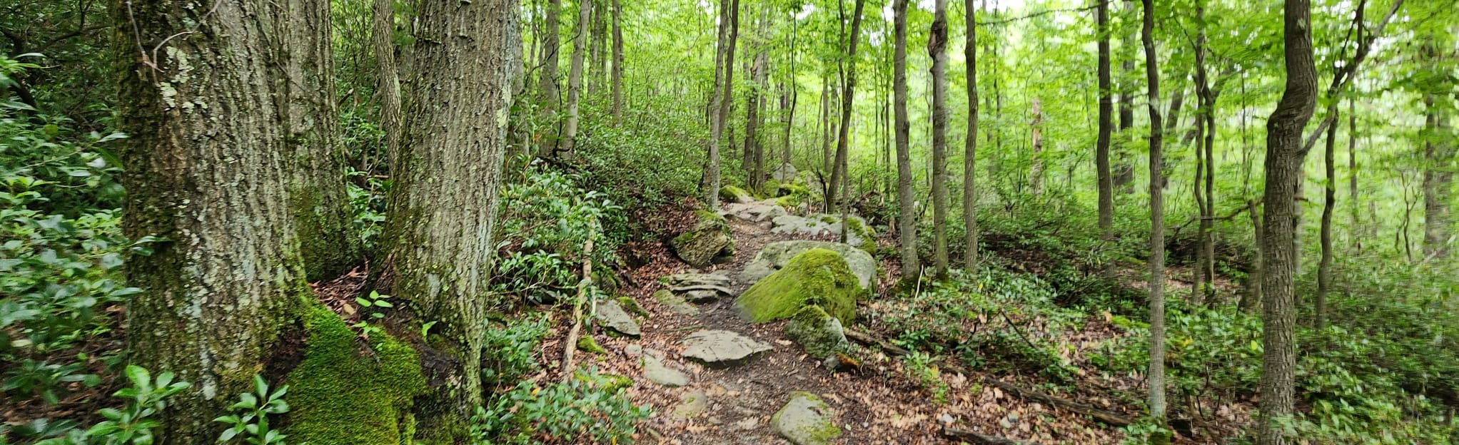 Cherry Creek Loop, Maryland 293 Reviews, Map AllTrails