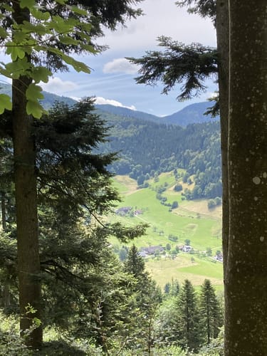 Breitackerpfad