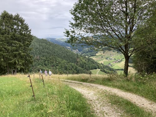 Breitackerpfad