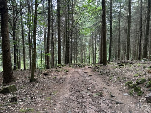 Königstuhl - Heidelberg Wanderweg 9