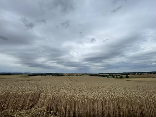 CTF (2020) RC03-Ilbenstadt – 37er Strecke