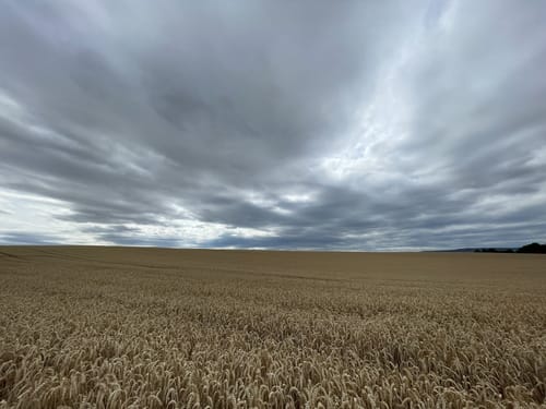 CTF (2020) RC03-Ilbenstadt – 37er Strecke