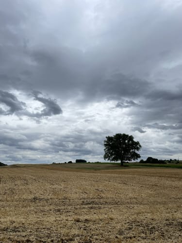 CTF (2020) RC03-Ilbenstadt – 37er Strecke