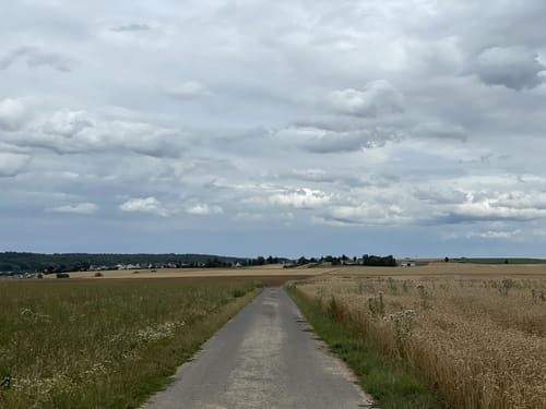 CTF (2020) RC03-Ilbenstadt – 37er Strecke