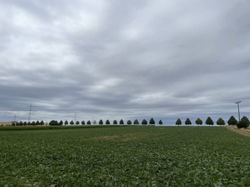 CTF (2020) RC03-Ilbenstadt – 37er Strecke