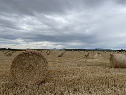 CTF (2020) RC03-Ilbenstadt – 37er Strecke