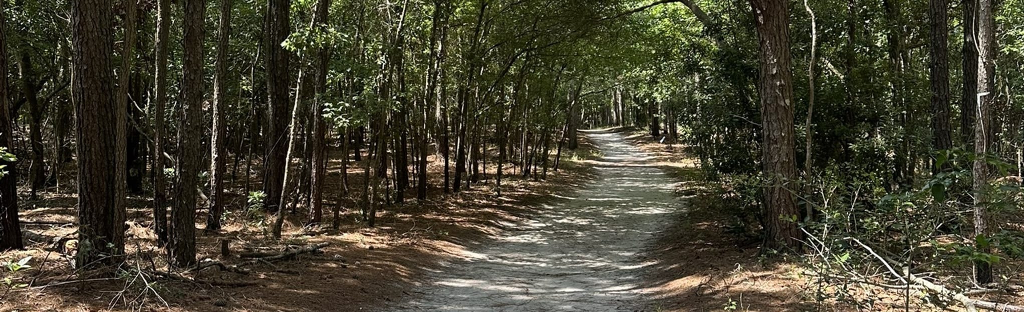 Track Trail at Hammocks Beach, North Carolina 52 Reviews, Map AllTrails