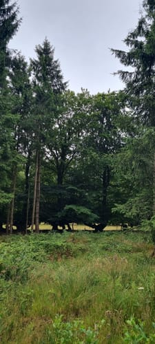 Weserquellen [CLOSED]