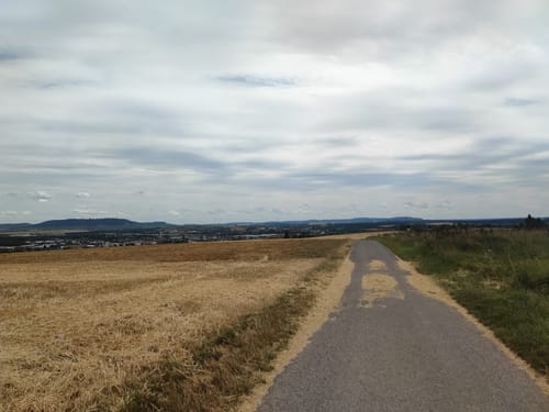 Kleine Runde von Kitzingen nach Buchbrunn