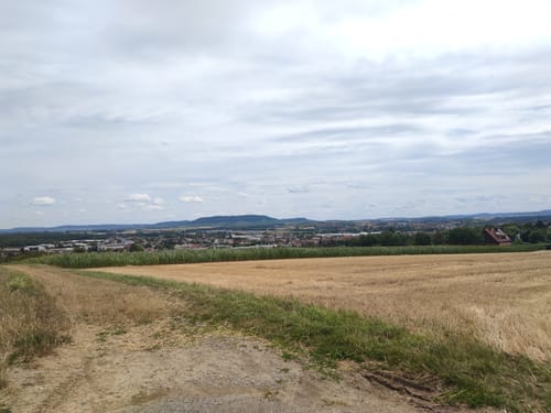 Kleine Runde von Kitzingen nach Buchbrunn