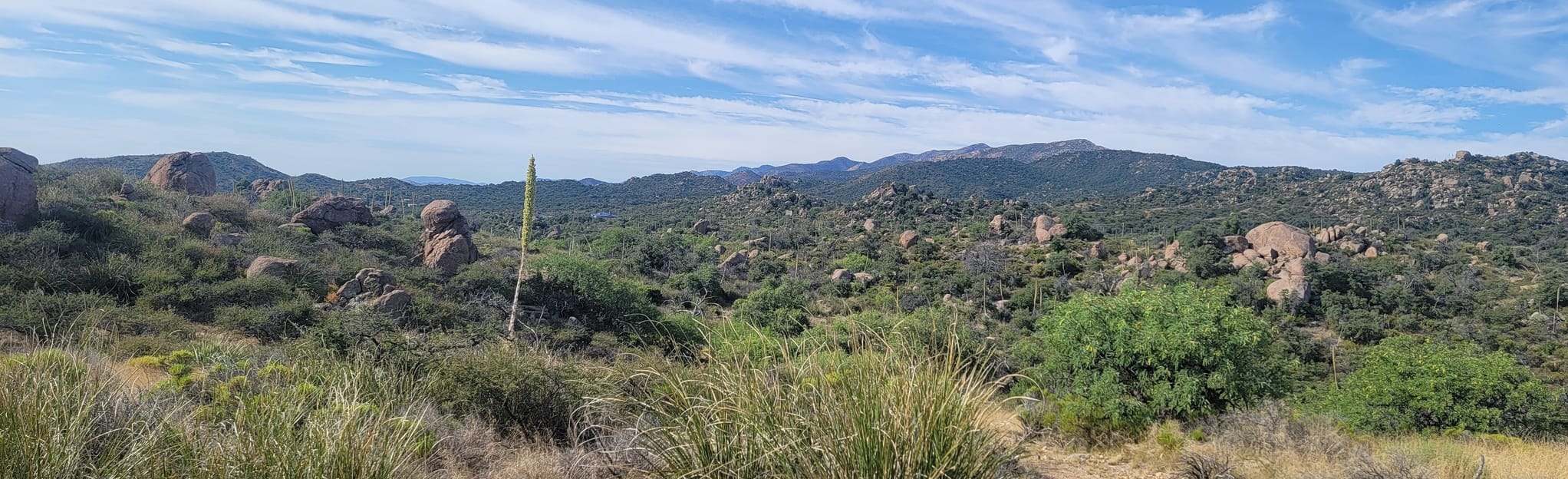 Granite Overlook Loop Trail: 274 Reviews, Map - Arizona | AllTrails
