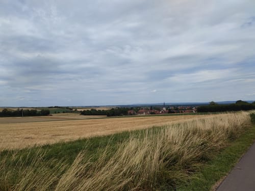 Kleine Runde von Kitzingen nach Buchbrunn