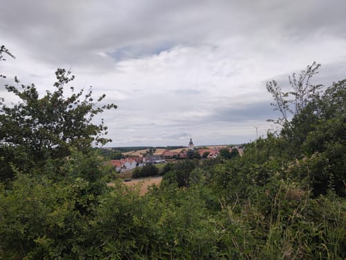 Kleine Runde von Kitzingen nach Buchbrunn