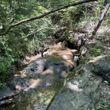 Moss Rock Preserve Trail, Alabama - 954 Reviews, Map | AllTrails