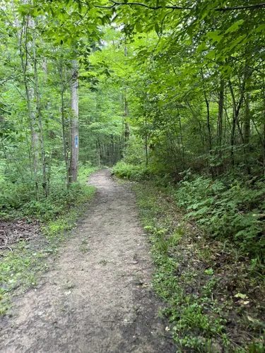 Best Hikes and Trails in Chautauqua Gorge State Forest | AllTrails