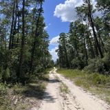 Florida Trail: Alexander Springs to Juniper Springs, Florida - 113 ...