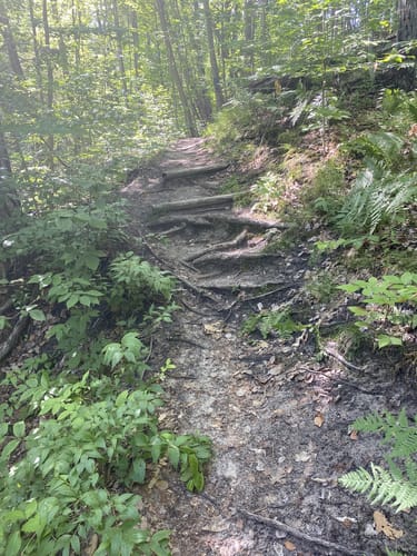 Photos of Pere Marquette State Forest, Michigan long trails | AllTrails