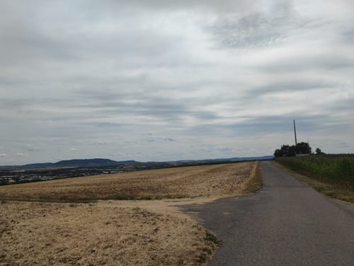 Kleine Runde von Kitzingen nach Buchbrunn