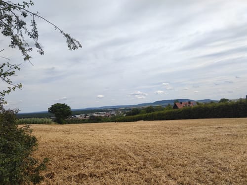 Kleine Runde von Kitzingen nach Buchbrunn