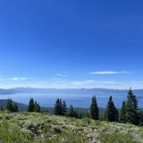 Martis Peak Trail, California - 551 Reviews, Map | AllTrails