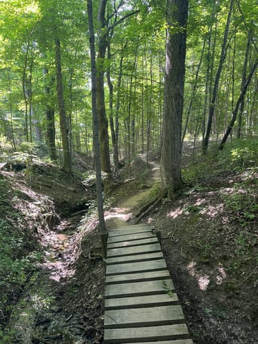 Alum creek mountain bike trail best sale phase 2