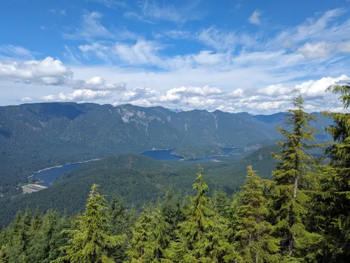 Best Forest Trails in Port Coquitlam