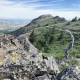 17785742663864253440allescout Mountain And East Fork Of Mink Creek Idaho Alltrailshtml