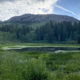 17785742663864253440allescout Mountain And East Fork Of Mink Creek Idaho Alltrailshtml