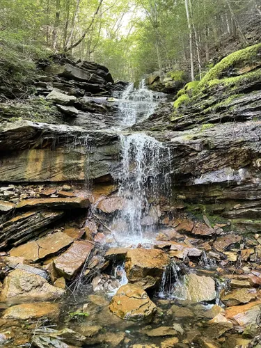 Best Hikes and Trails in McIntyre Wild Area | AllTrails