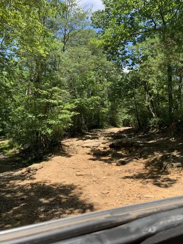 2023 Best Off-road Driving Trails in Prentice Cooper State Forest ...
