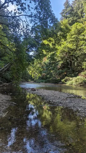 10 Best River Trails in Santa Cruz AllTrails