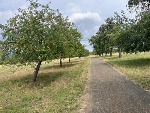 Seen-Rundweg Borken