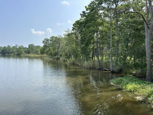 2023 Best Paved Trails In Magnolia Springs 